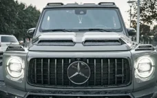 Carbon grille trim for Mercedes-Benz G-Class W463