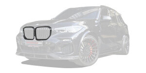 Kühlergrillverkleidung