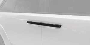 Door handle inserts