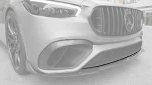 Front bumper lower molding