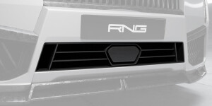 Lower grille