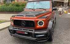Carbon grille trim for Mercedes-Benz G-Class W463