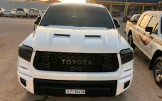 Hood for Toyota Tundra