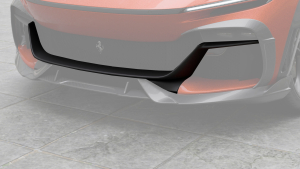 Front bumper trim